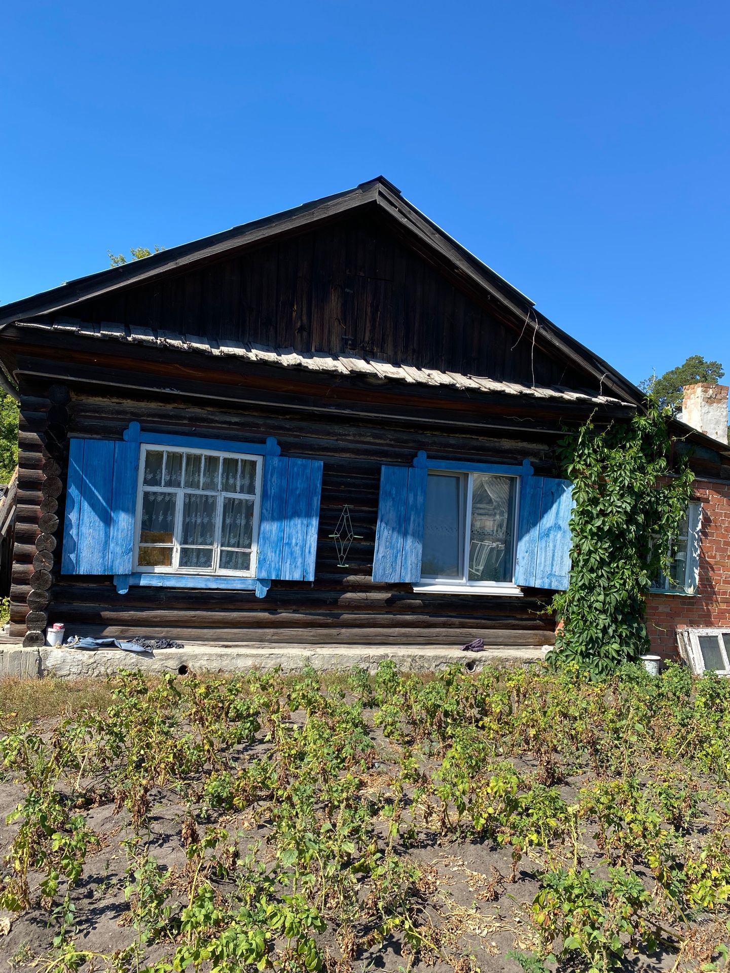 Главная